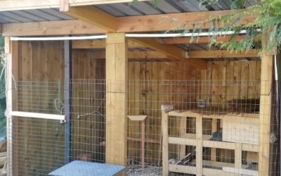 On a construit notre poulailler !