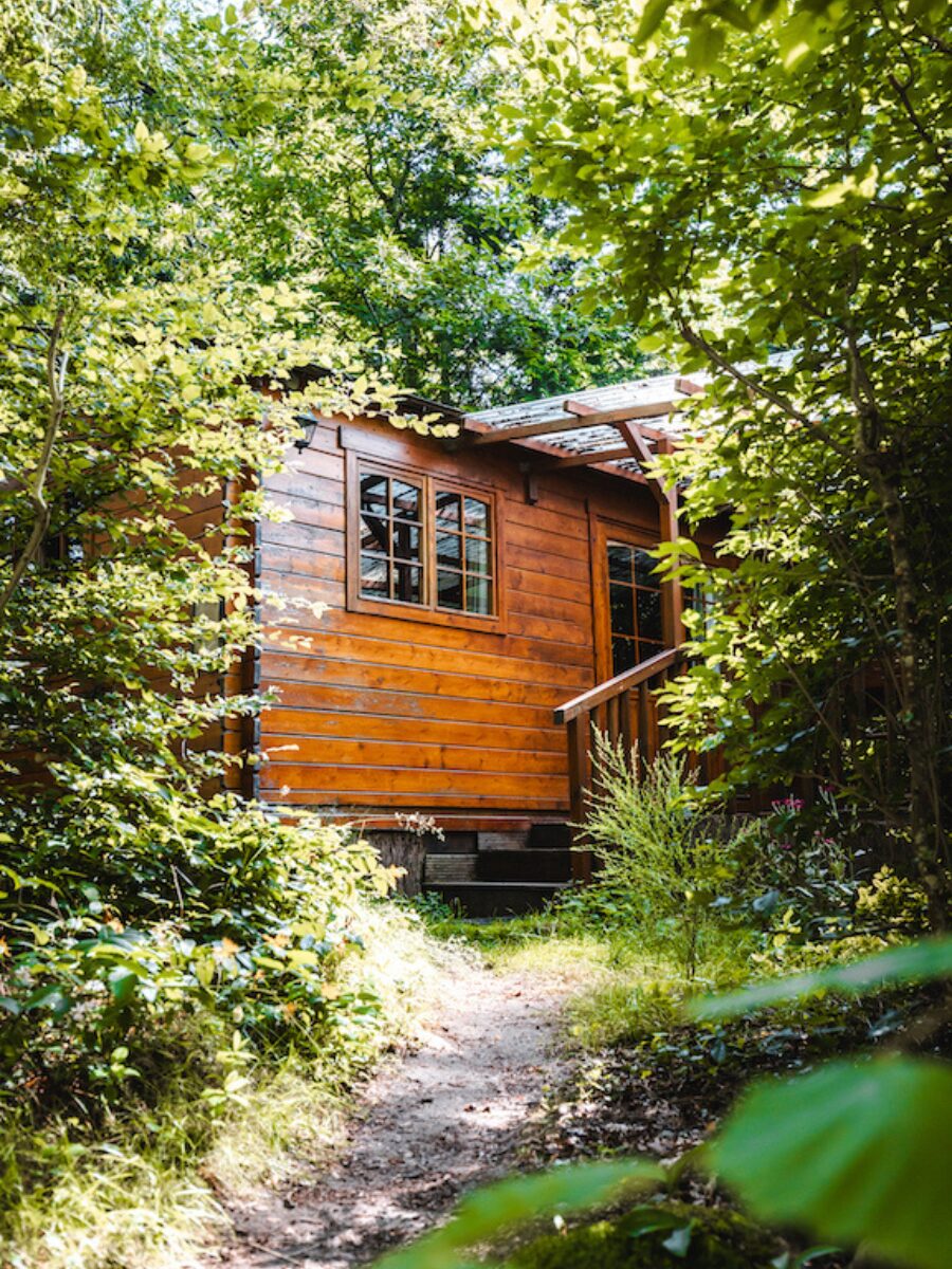 cabane dans les bois , week-end nature