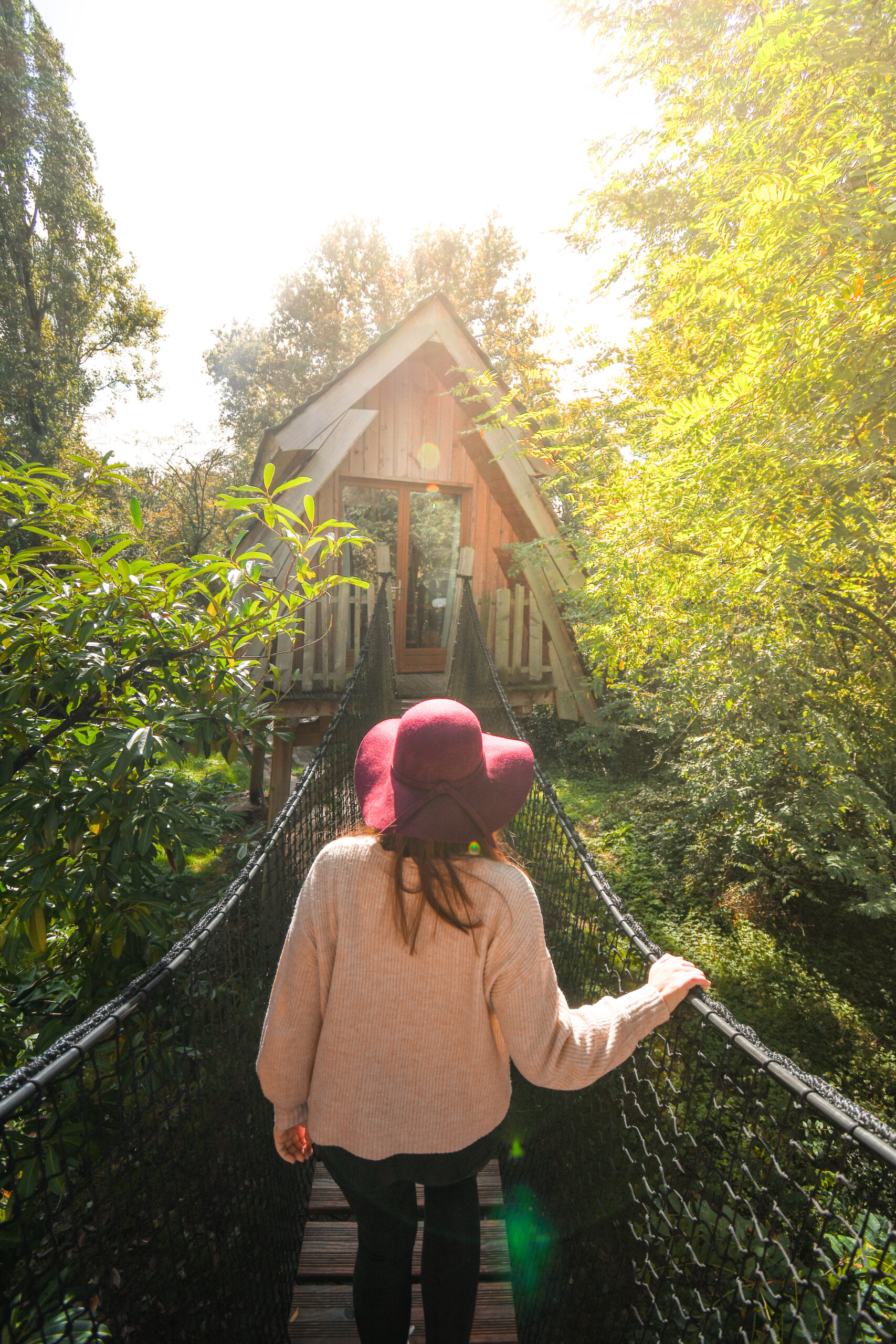 cabane dans les arbres en automne.