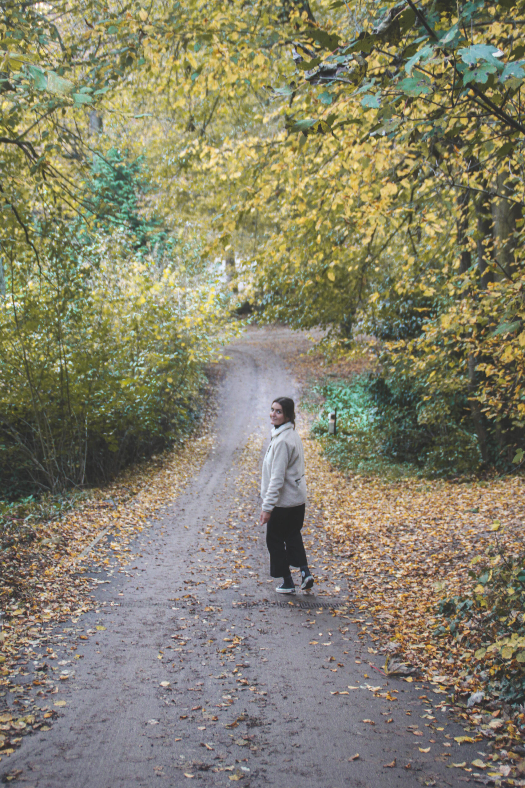 le bois de rosoy en automne