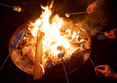 Brasero et chamallows sur Escape Forest, activité à faire en automne