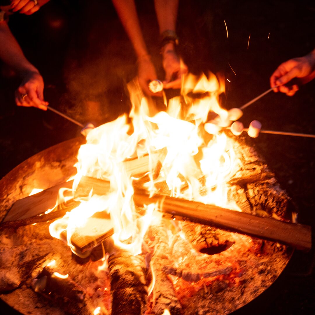 apéro chamallow et braseo, séminaire en forêt proche de paris